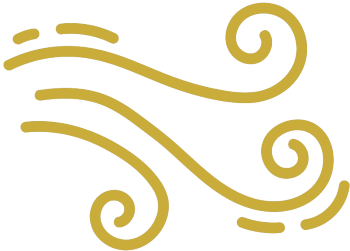 High wind icon